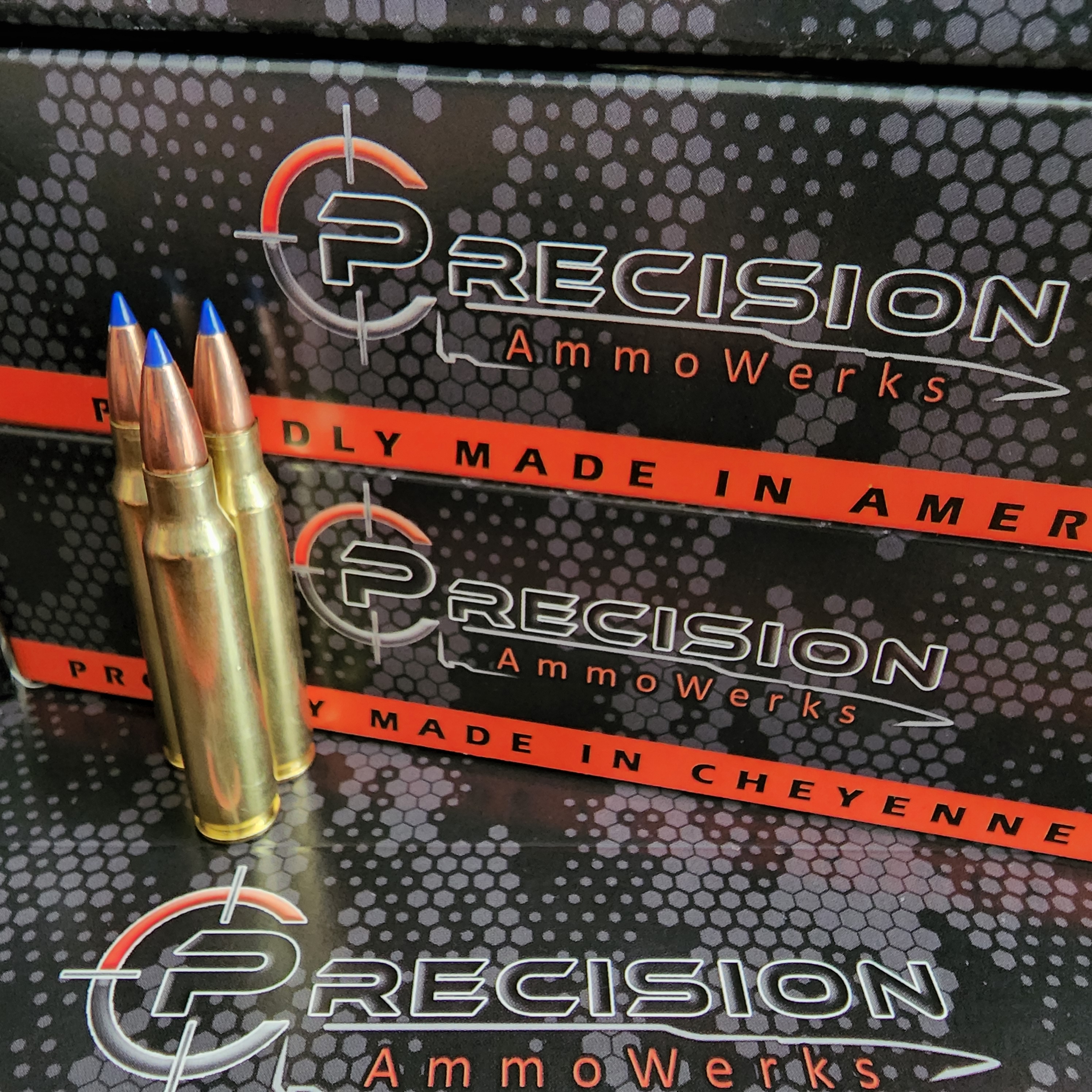 223 Remington 62gr TTSX