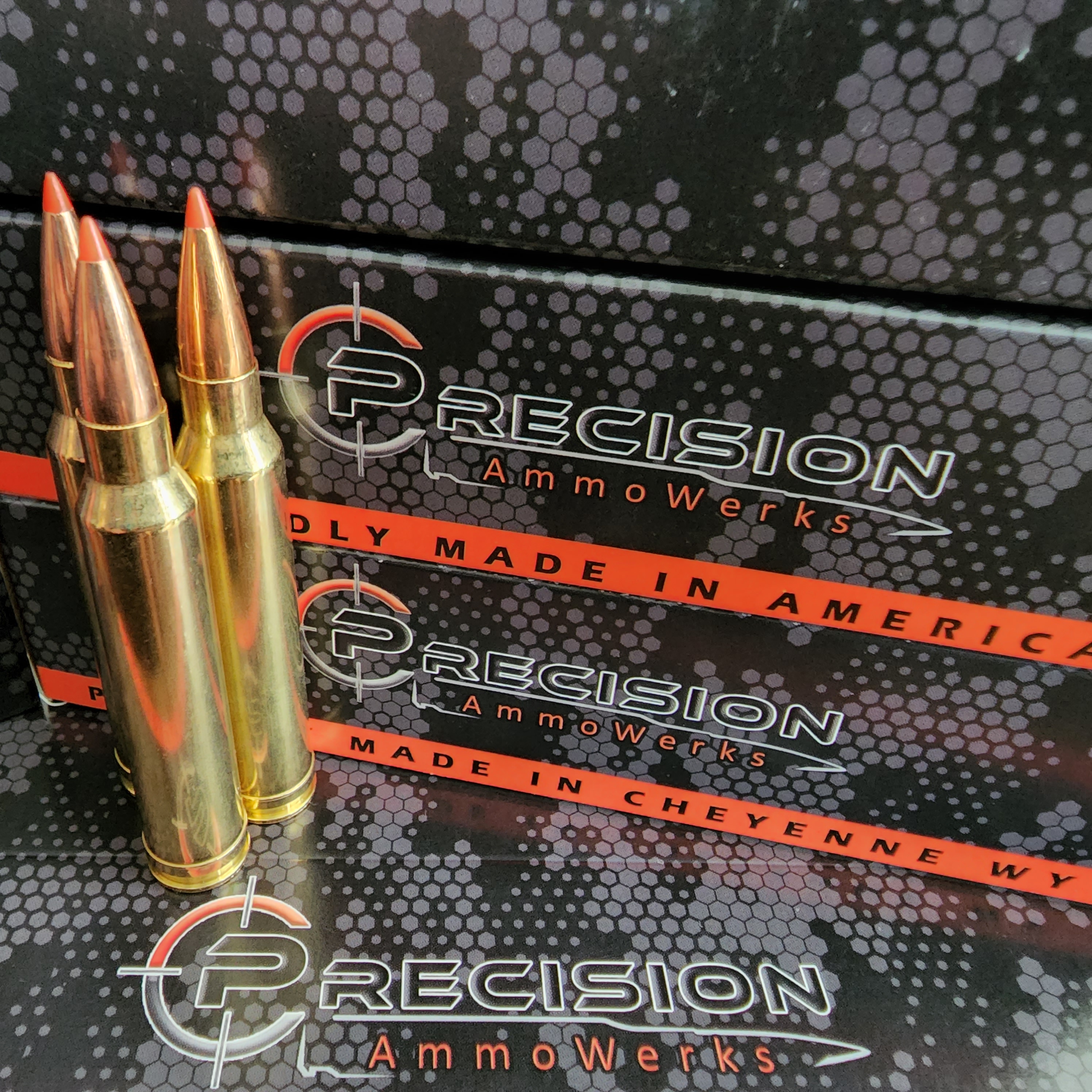 300 Win Mag 180gr SST