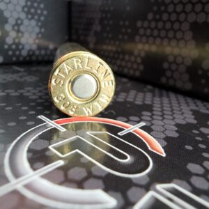308 Winchester