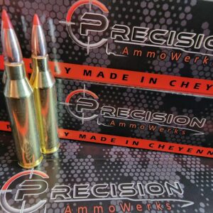 243 Winchester 95gr SST