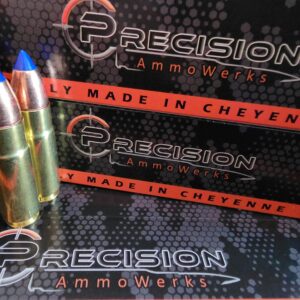 458 Socom 300gr TTSX