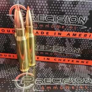 308 Winchester 165gr SST