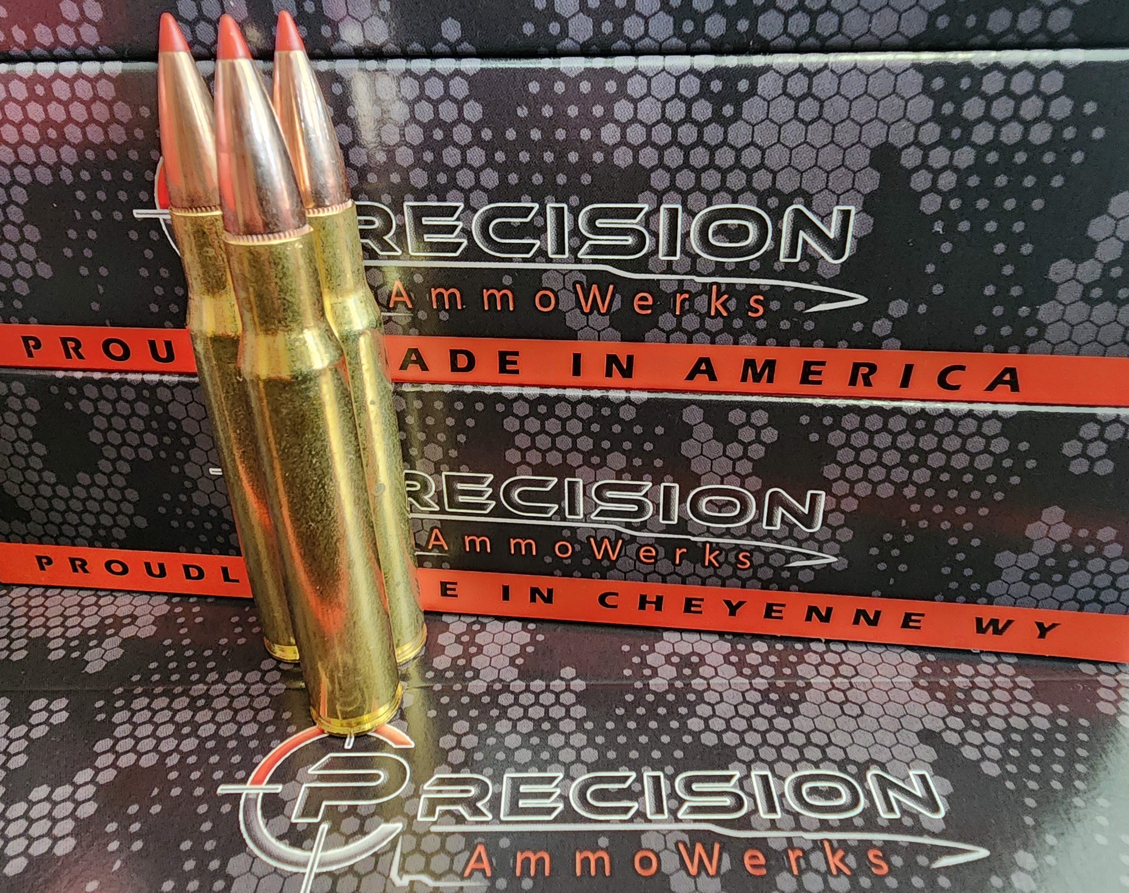30-06 Springfield 180gr SST